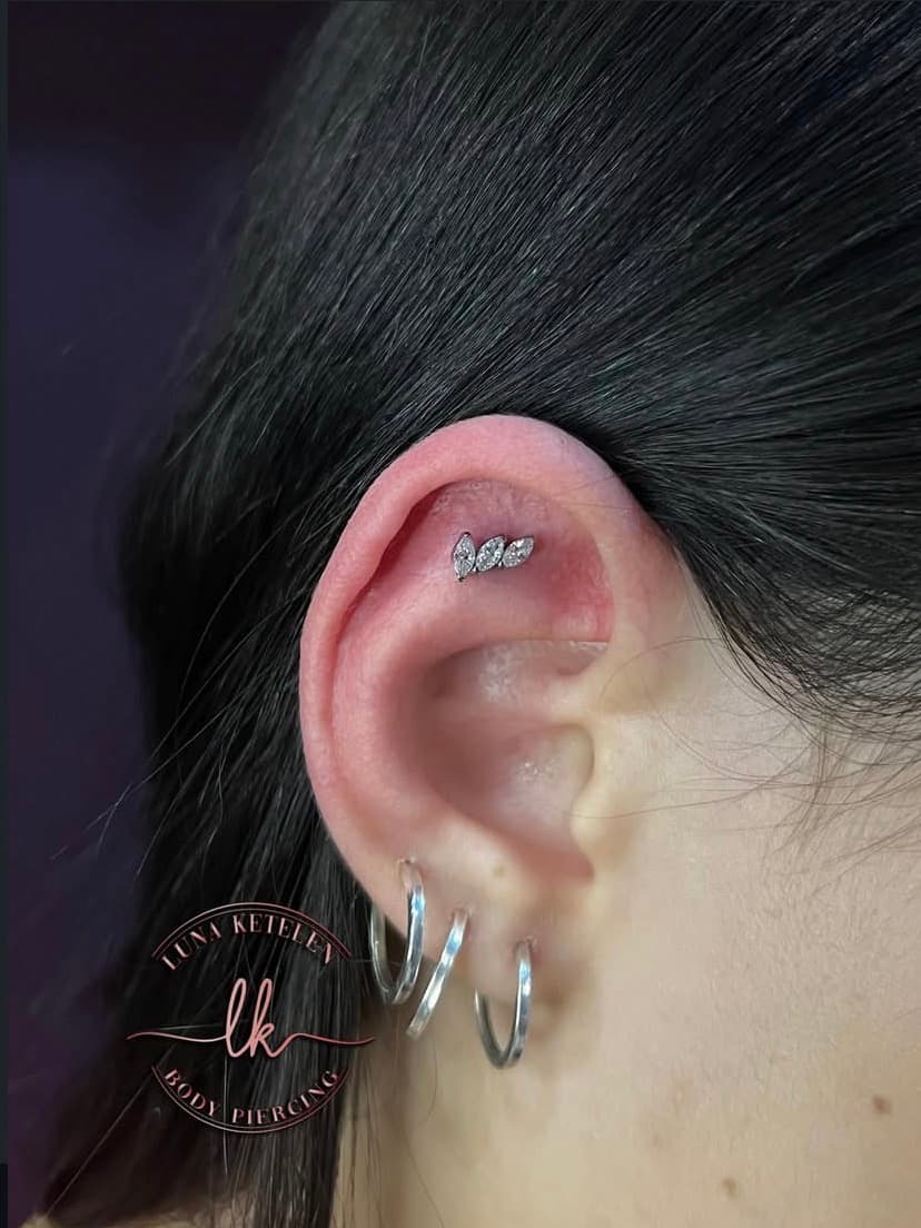 Trabalho 1 de Luna Piercing